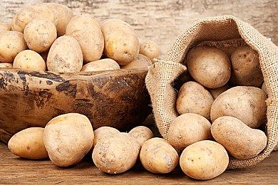 《战锤40K：行商浪人》“选择和结果”宣传片 12月7日发售